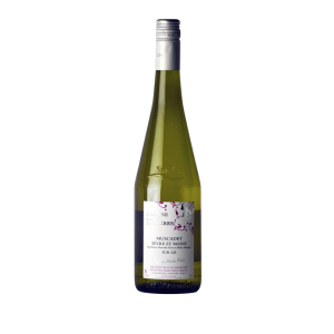 AOP Muscadet Sèvre et Maine sur Lie - Les Raillères